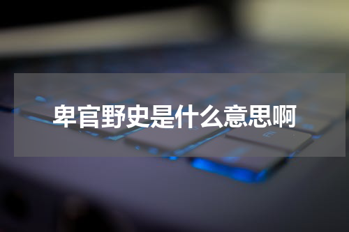 卑官野史是什么意思啊