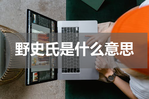 野史氏是什么意思