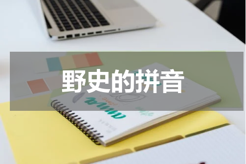 野史的拼音