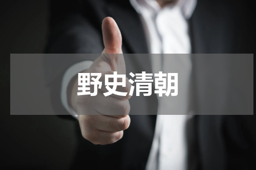 野史清朝