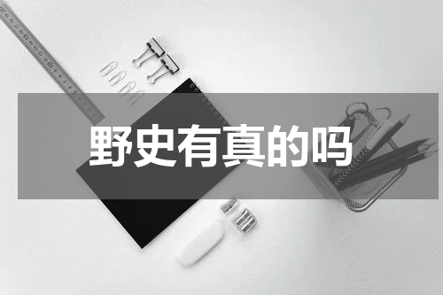 野史有真的吗
