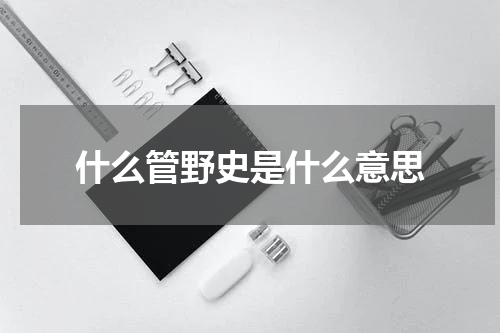 什么管野史是什么意思