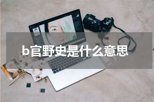 b官野史是什么意思