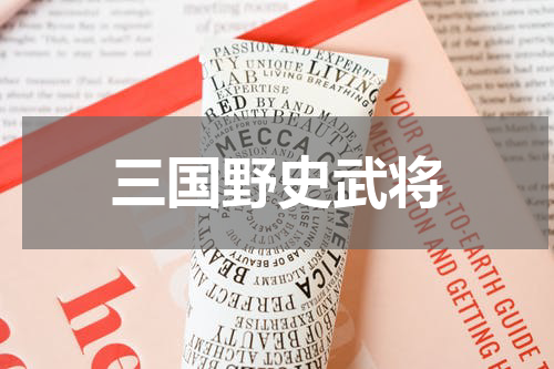 三国野史武将