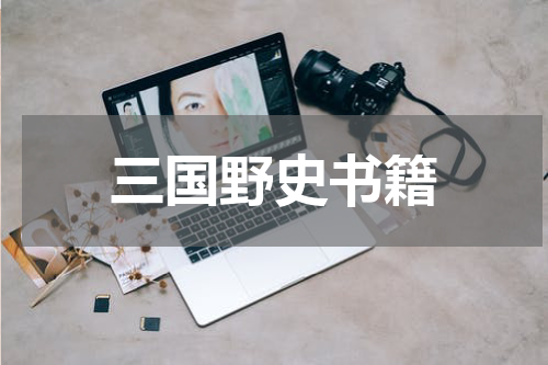 三国野史书籍