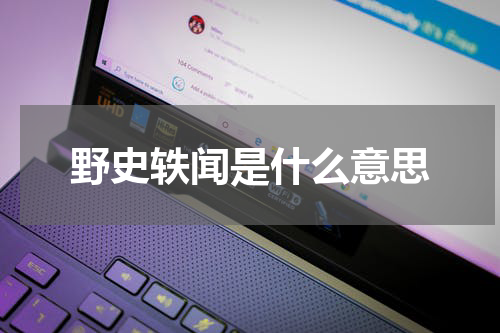野史轶闻是什么意思
