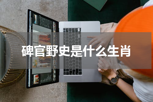碑官野史是什么生肖