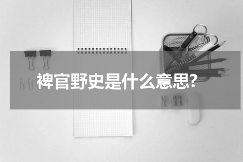 裨官野史是什么意思?