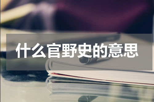 什么官野史的意思