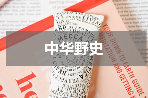 中华野史