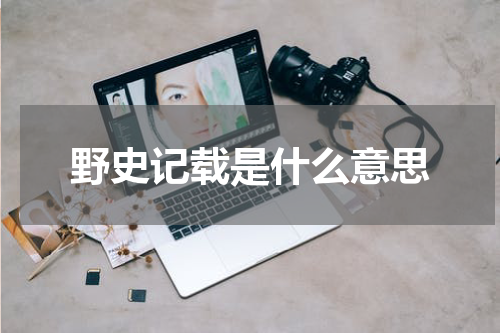 野史记载是什么意思