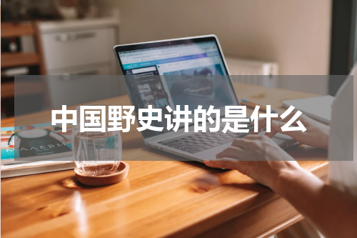 中国野史讲的是什么