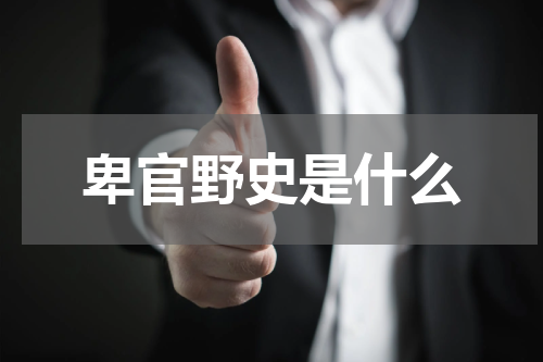 卑官野史是什么