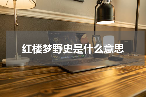 红楼梦野史是什么意思