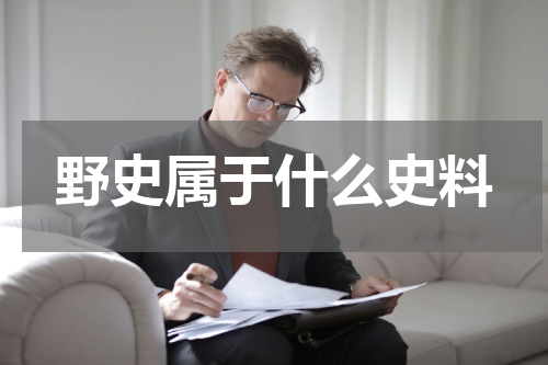 野史属于什么史料