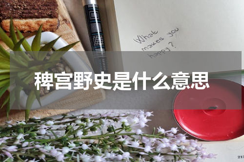 稗宫野史是什么意思