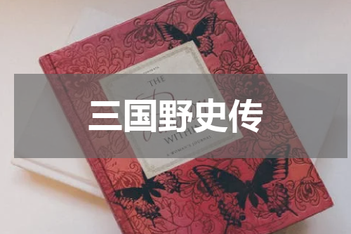 三国野史传