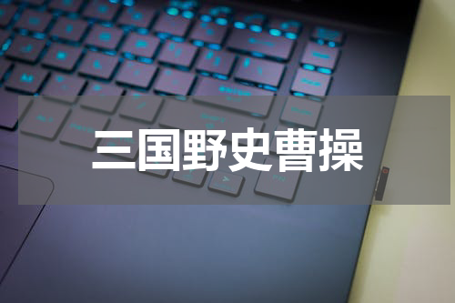 三国野史曹操