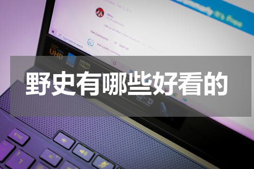 野史有哪些好看的