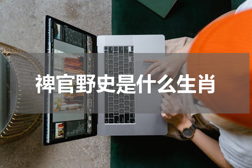 禆官野史是什么生肖