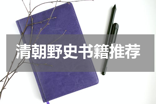 清朝野史书籍推荐
