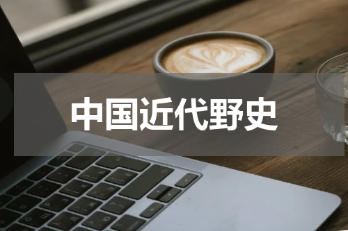 中国近代野史