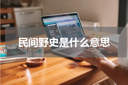 民间野史是什么意思