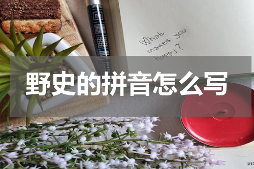 野史的拼音怎么写