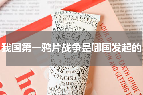 我国第一鸦片战争是哪国发起的