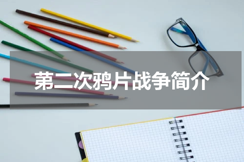 苐二次鸦片战争简介