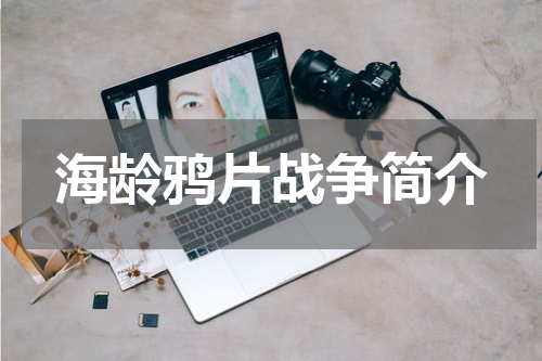 海龄鸦片战争简介