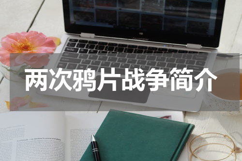 两次鸦片战争简介