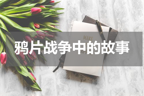 鸦片战争中的故事
