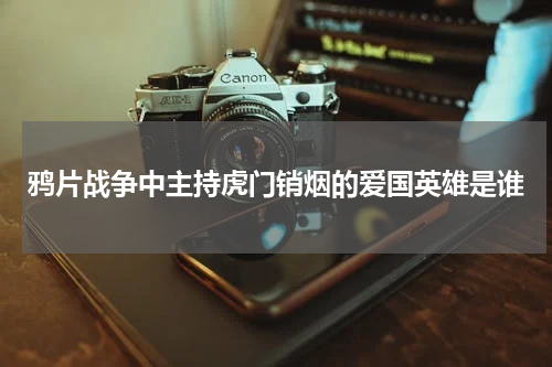 鸦片战争中主持虎门销烟的爱国英雄是谁