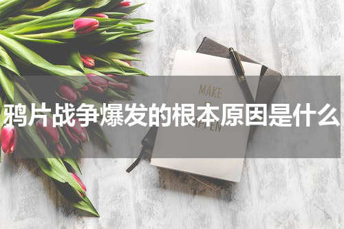 鸦片战争爆发的根本原因是什么