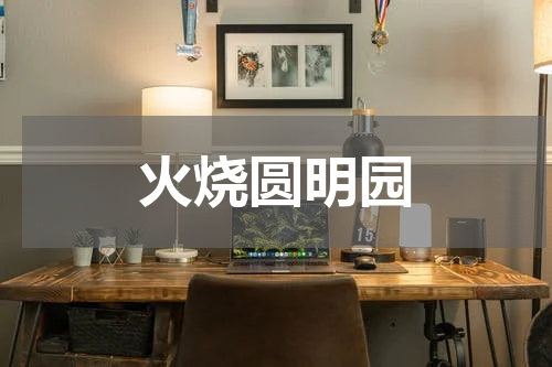 火烧圆明园