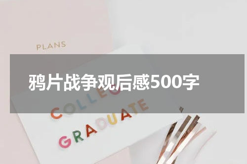 鸦片战争观后感500字