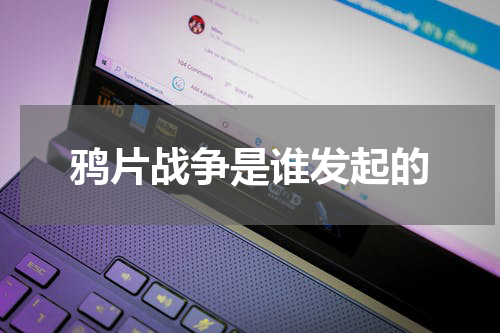 鸦片战争是谁发起的