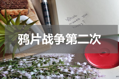 鸦片战争第二次