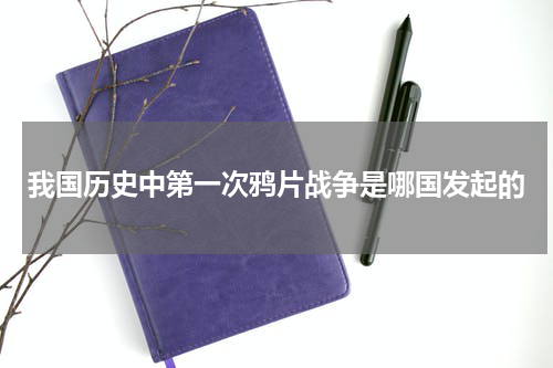我国历史中第一次鸦片战争是哪国发起的