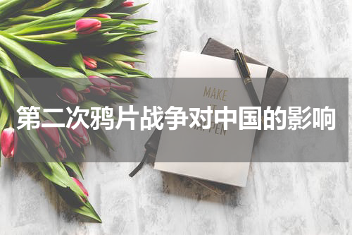 第二次鸦片战争对中国的影响