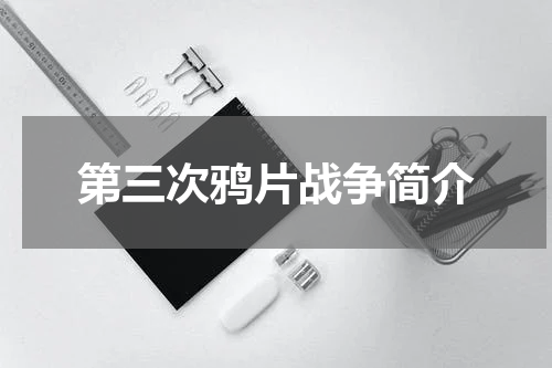 第三次鸦片战争简介