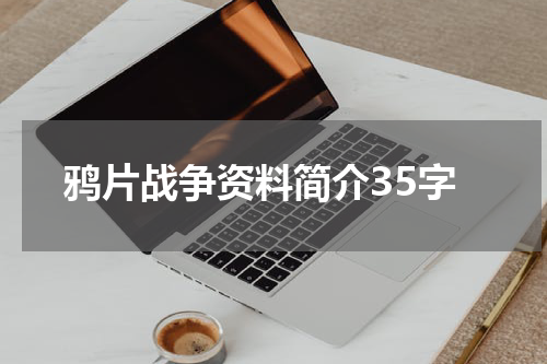 鸦片战争资料简介35字