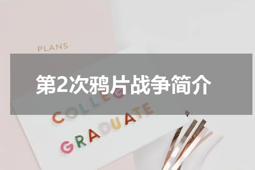 第2次鸦片战争简介