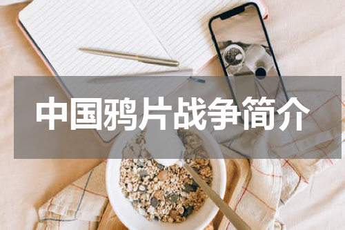 中国鸦片战争简介