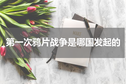 第一次鸦片战争是哪国发起的