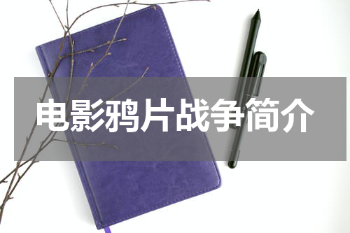 电影鸦片战争简介