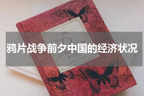 鸦片战争前夕中国的经济状况