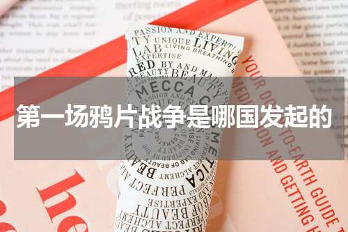 第一场鸦片战争是哪国发起的