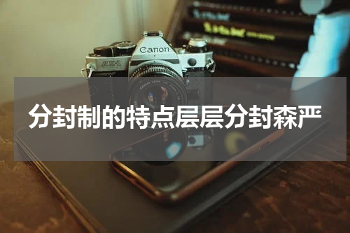 分封制的特点层层分封森严
